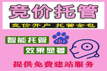 成功运用SEM服务实现品牌快速成长的案例
